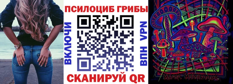 Псилоцибиновые грибы ЛСД  магазин  наркотиков  Ачхой-Мартан 
